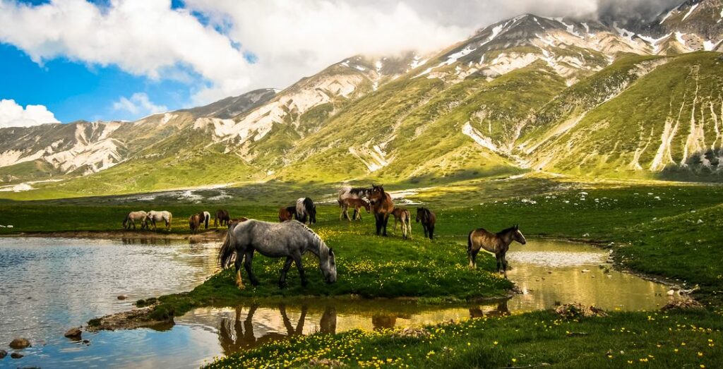 Campo-Imperatore2